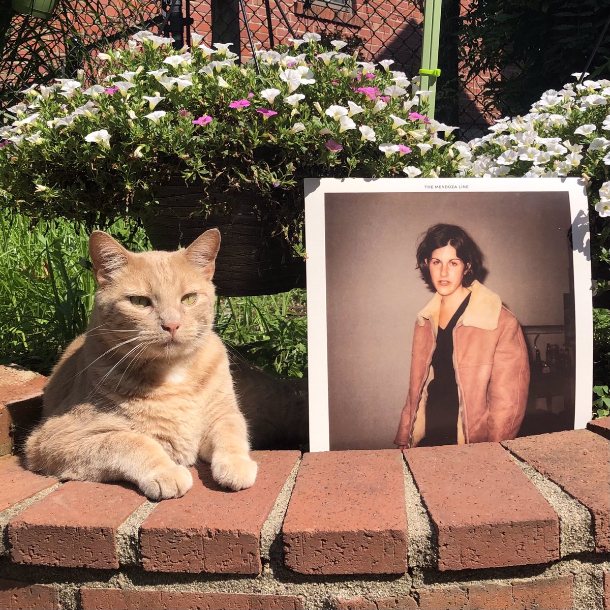 MONDAY SPINS 
WE’RE ALL IN THIS ALONE (2000)

The <a href="/Mendozalineband/">The Mendoza Line</a> Mendoza were a rock band formed in the mid-1990s in Athens

For their first record for <a href="/barnonerecords/">Bar/None Records</a> founding members Peter Hoffman and Timothy Bracy are joined by Shannon McArdle.