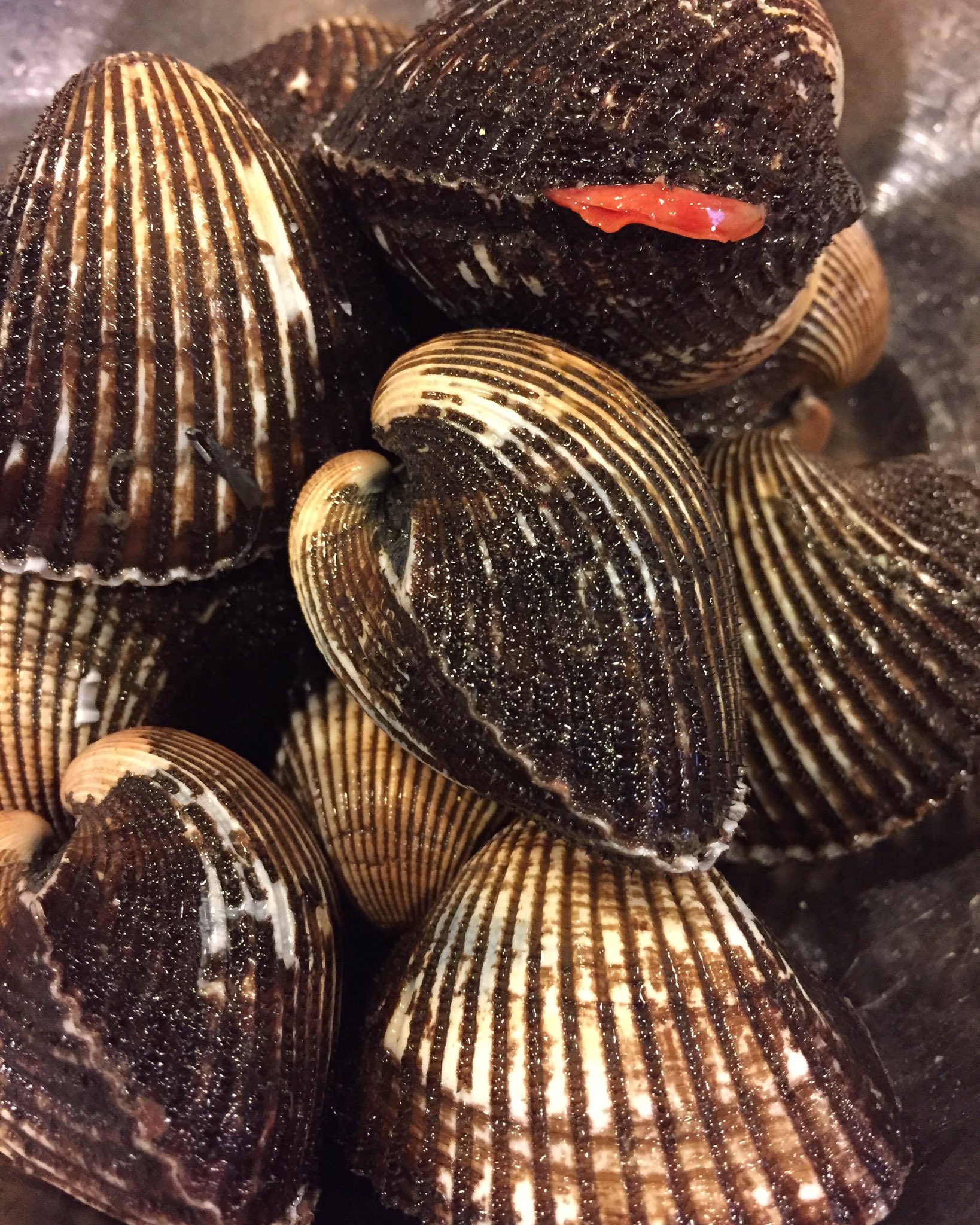 魚の旨い店 ほうぼう 実は写真の貝は サルボウ貝 なんです 赤貝そっくりさんは缶詰で流通していますが 実は殻付きお刺身用は初めて仕入ました 本当に並んでいるのを見た事ないんです 自分が気づかないだけかもしれませんが 旨いし珍しい貝との事で 魚の旨い店 ほうぼう 実は写真の貝は サルボウ貝 なんです 赤貝そっくりさんは缶詰で流通していますが 実は殻付きお刺身用は初めて仕入ました 本当に並んでいるのを見た事ないんです 自分が気づかないだけかもしれませんが 旨いし珍しい貝との事で