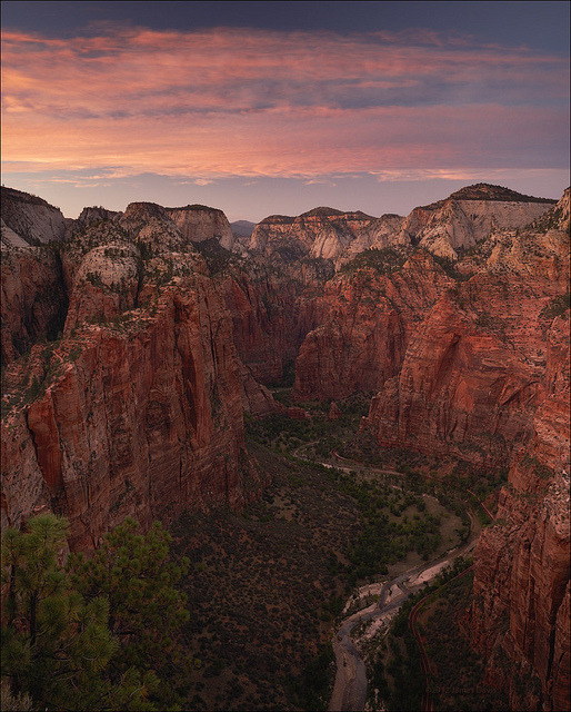 CampingAddicts's tweet photo. Beautiful view from Angel’s Landing in Zion National Park, Utah, USA

Would you hike and camp here?

#campings... https://t.co/xSVq5oIoz4