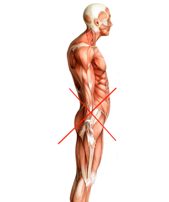 drdozellodc's tweet photo. Lower Cross Syndrome
Dr Donald A Ozello DC of Championship Chiropractic
#Vegas #Chiropractor #Chiropractic #sportsmedicine #Posture #Posturalcorrection #lowercrosssyndrome #Lowercrossedsyndrome #PelvicTilt https://t.co/zGY5ltMoJn https://t.co/vhzZP90cKe