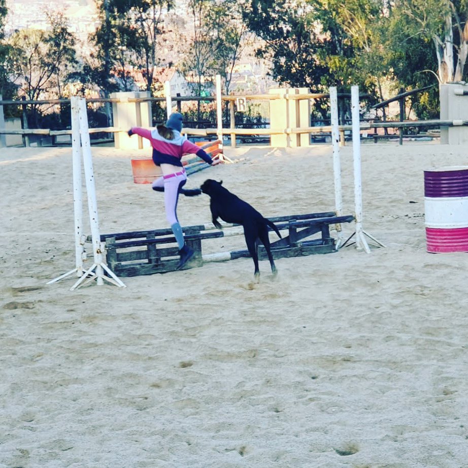 ELDoradostables's tweet photo. The way kids should grow up 👌🏻 #outside #freshair #dog #dogsofinstagram #playingoutside #playingwithanimals #playingoutside #playingwithdogs #jumping #dogjumping #kids #havingfun #thewaykidsshouldplay #thewaykidsshouldgrowup #eldoradostables #aleapabovetherest #eldoradofamily https://t.co/QL6K8Roef3