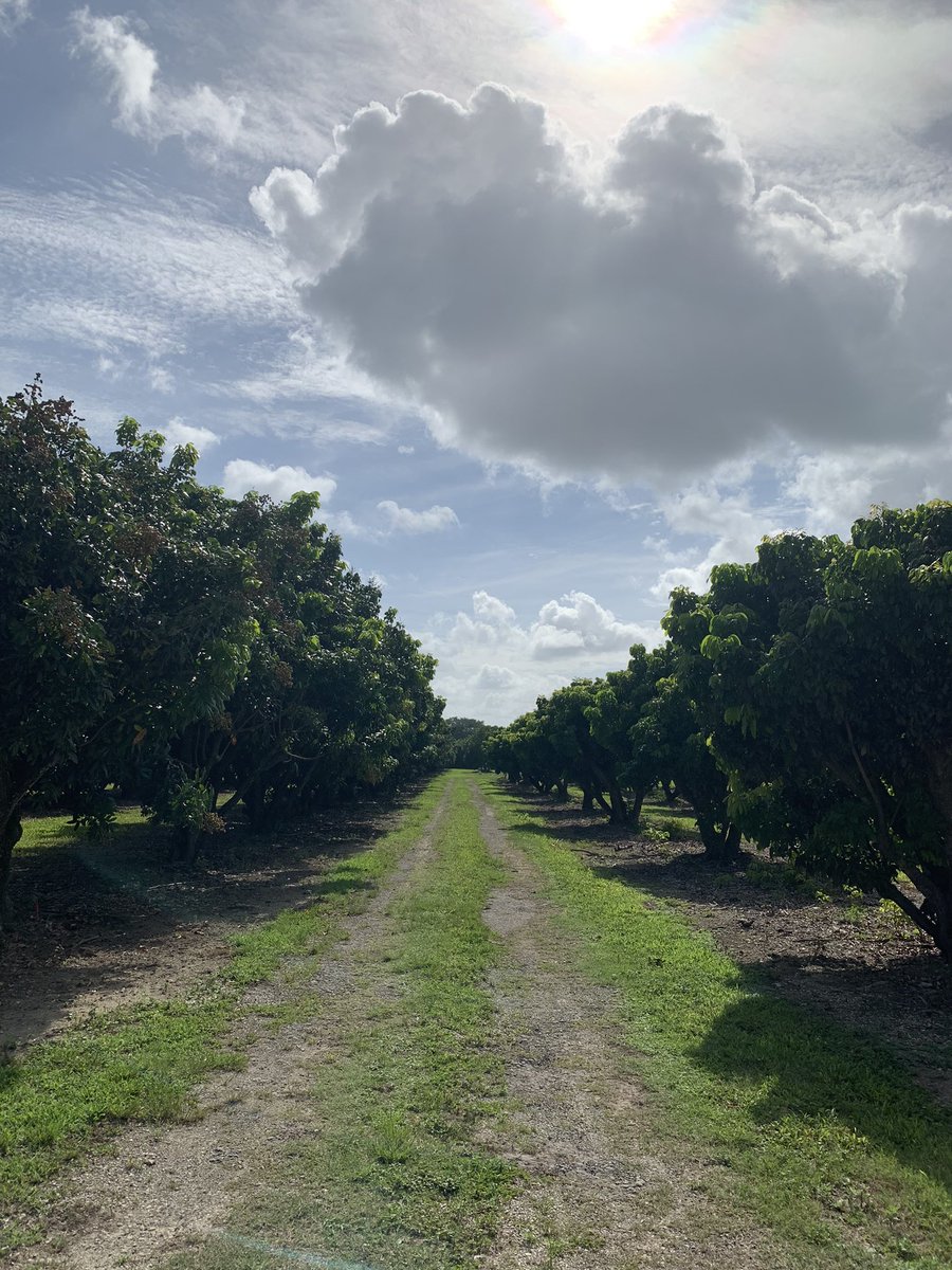 Michael K. Rasser, PhD tweet media