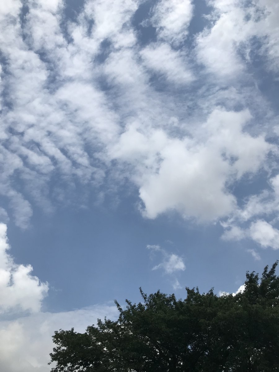 すぎなみハウズ على تويتر おはようございます 杉並区 きょうは晴れ 曇り 梅雨入りしてからあまり雨は降っていませんが 明日から梅雨らしくなりそうですね 今日も1日よろしくお願いいたします 企業公式が毎朝地元の天気を言い合う Lixilリフォーム すぎなみハウズ على تويتر おはようございます 杉並区 きょうは晴れ 曇り 梅雨入りしてからあまり雨は降っていませんが 明日から梅雨らしくなりそうですね 今日も1日よろしくお願いいたします 企業公式が毎朝地元の天気を言い合う Lixilリフォーム