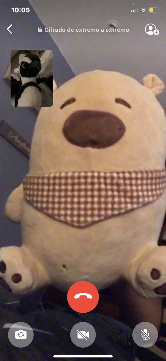 aleElDinisaurio's tweet photo. Gordito y pepe el pollo haciendo FaceTime!!! Planeando un viajeee juntoss soon!! ⚡️⚡️⚡️ i will keep u noticed https://t.co/H1F6nn0YTy