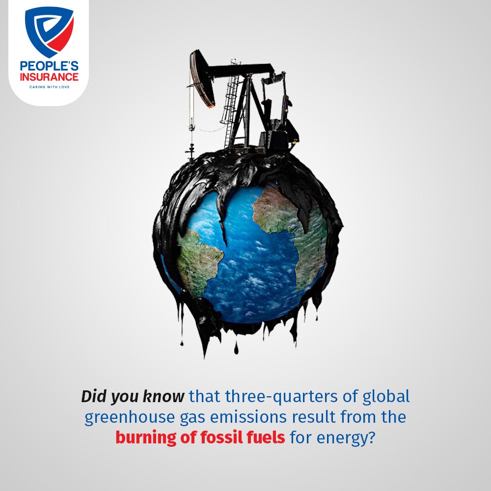 PeoplesIns's tweet image. Make the switch to solar panels, today! Join the fight for a greener future by reducing your carbon dioxide emissions.
#SolarPower #SolarInsurance #SaveThePlanet #PeoplesInsurance