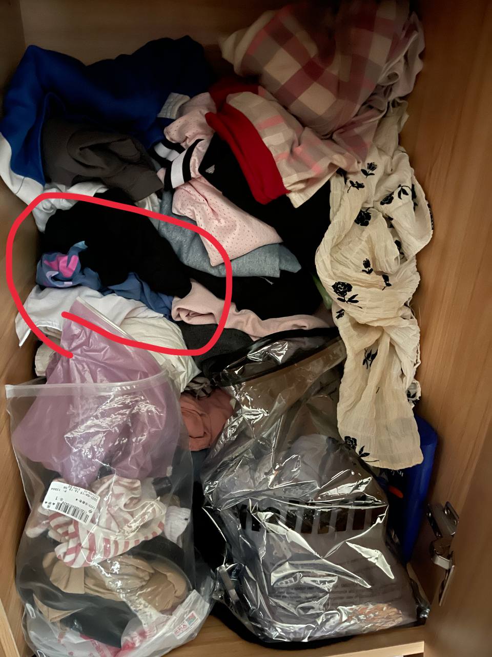 扫楼顺丝原味资源分享on X: t.coDvVj84RcKK扫楼顺丝t.co72EpKuAyE4  X