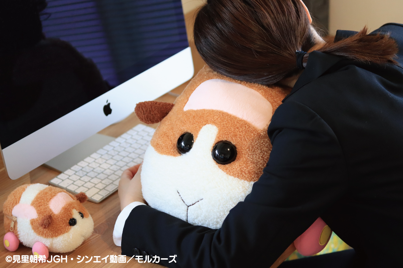 PUI PUI モルカー【公式】 в X: „📢 #モルカー商品情報 PUI PUI