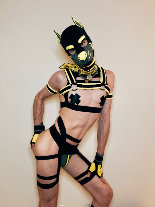 All puppy love~ https://t.co/GZhQF6J9H3<a href="/tag/humanpup"class="tags"><span>#humanpup</span></a>