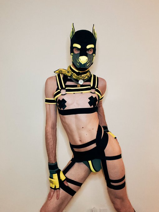 All puppy love~ https://t.co/GZhQF6J9H3<a href="/tag/humanpup"class="tags"><span>#humanpup</span></a>