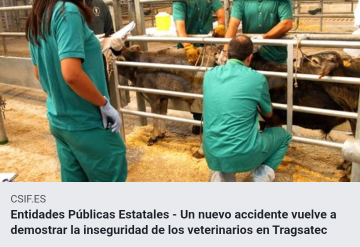 csif_epe's tweet image. "Tu compañero/a es tu salvavidas"
csif.es/contenido/naci…