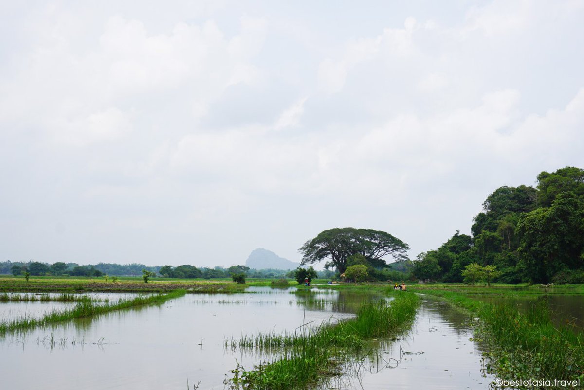 BestofAsia_ru's tweet photo. Флэшбэки из Мьянмы🇲🇲
-
#юва #greenasia #живописнаяприрода #asiaphotography #экзотическиепутешествия #авторскийтуризм https://t.co/mJQ3P7dGFi