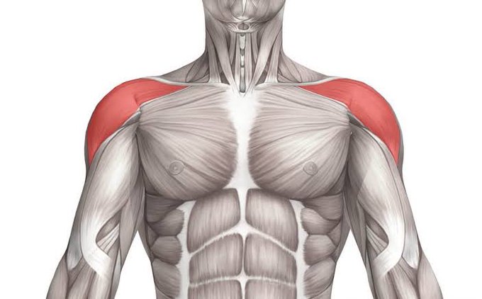 肩のtwitterイラスト検索結果