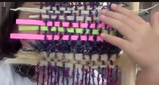 Janice Novakowski tweet media