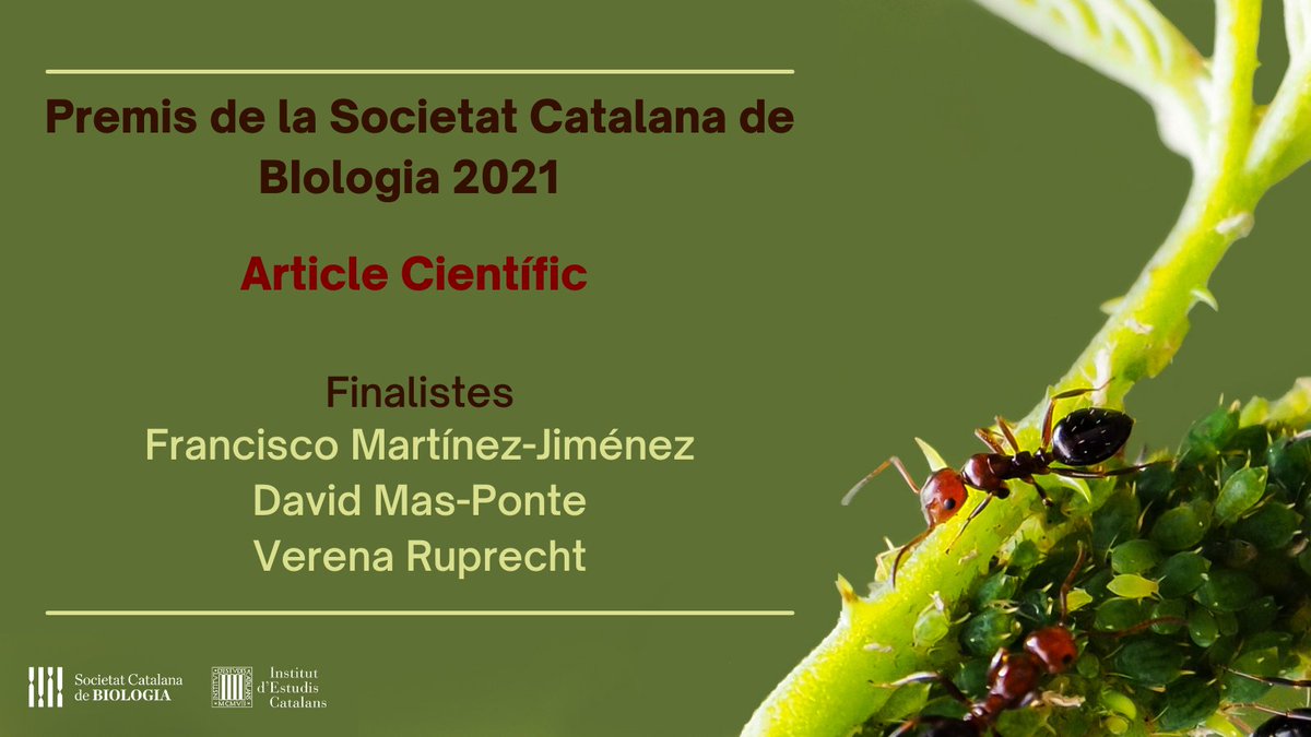 SCB_iec's tweet image. Ja tenim els finalistes dels #PremisSCB 2021 a l'#ArticleCientífic! Enhorabona!

➡️Francisco Martínez-Jiménez @fran_mj88 
➡️David Mas-Ponte @davidmasp 
➡️Verena Ruprecht @Ruprecht_Lab 

Trobareu més información sobre els articles premiats en aquest fil 👇