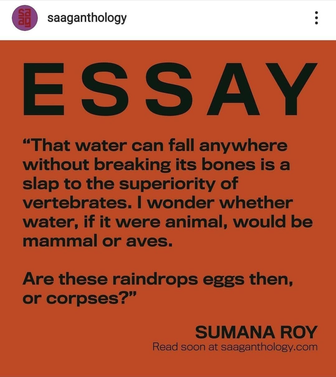 Sumana Roy on Twitter: Sumana Roy on Twitter: