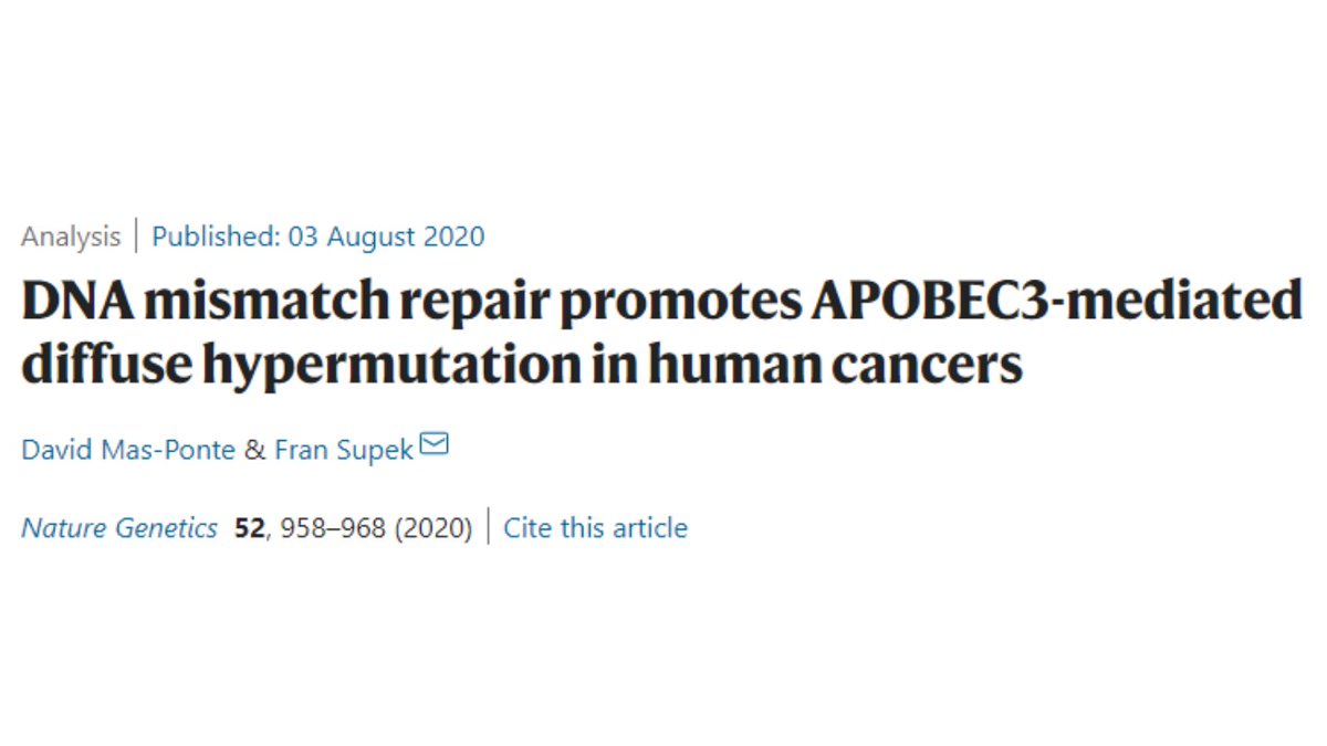 SCB_iec's tweet photo. Finalista al #PremiSCB 2021 a l’#ArticleCientífic
📢David Mas-Ponte @davidmasp
📰"DNA mismatch repair promotes APOBEC3-mediated diffuse hypermutation in human cancers"
🔗https://t.co/uDROKdyrOo https://t.co/WGIbA9VPZu