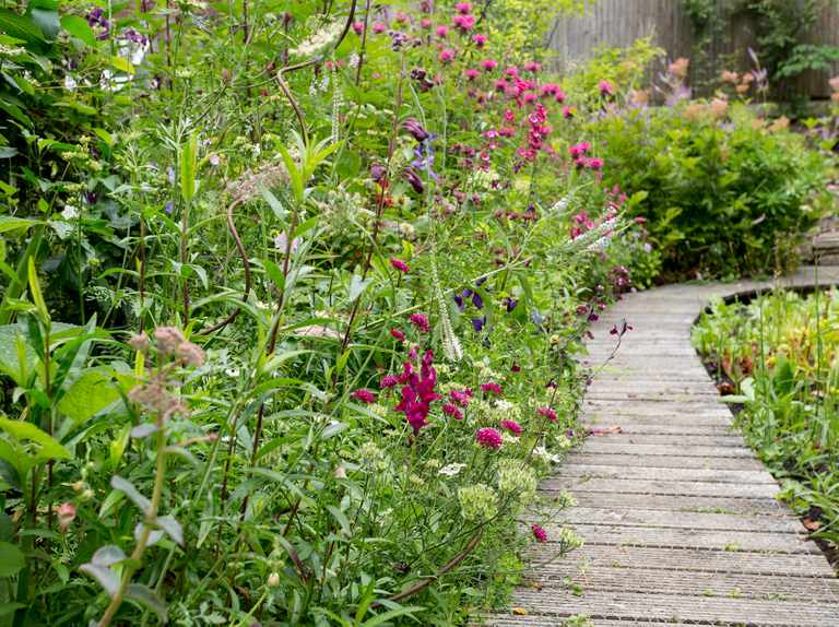 MarcusBerginGardening tweet media