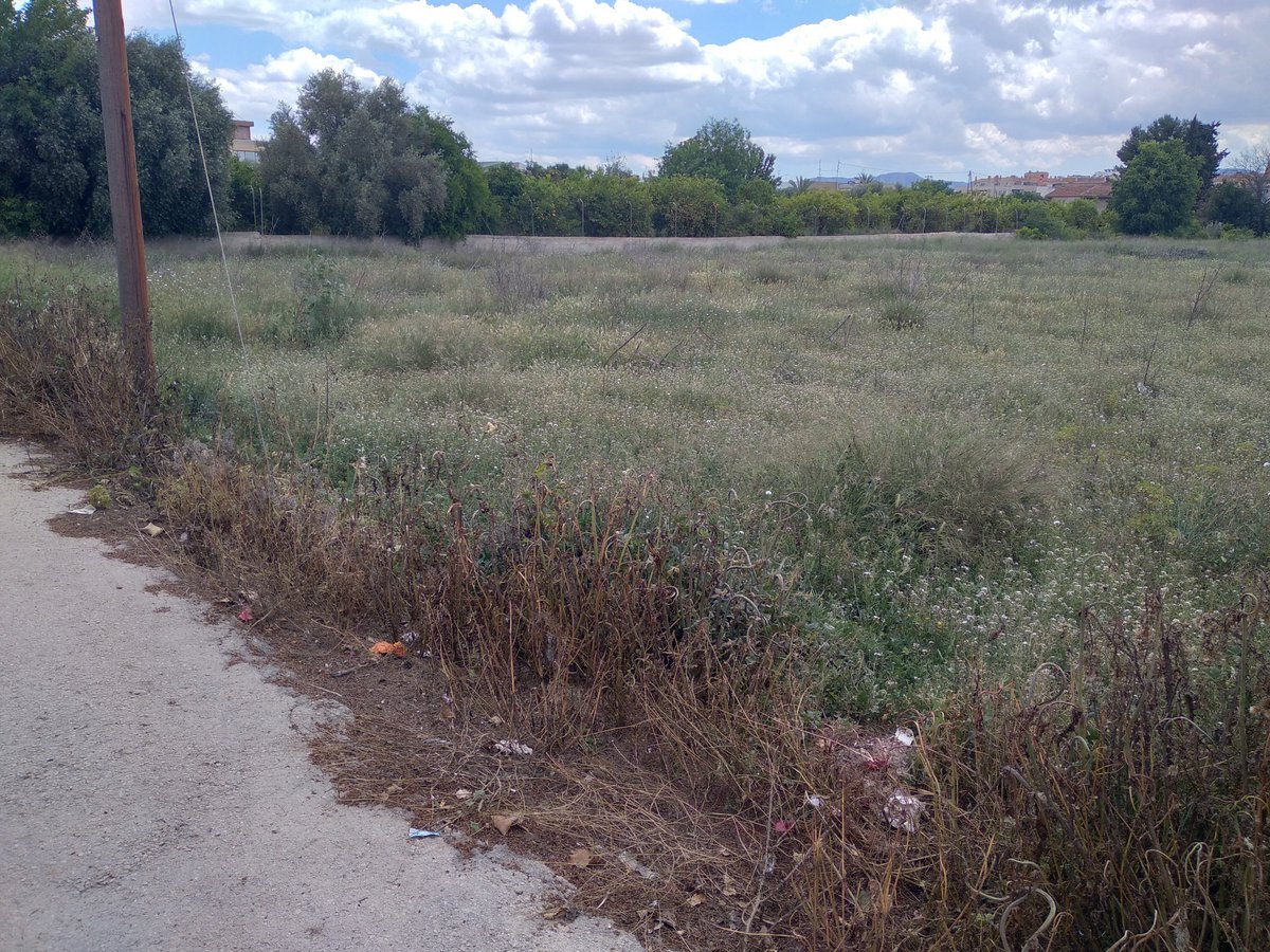 <a href="/MuCSostenible/">Murcia Ciudad Sostenible</a> El Carril de los Gracias en Churra estamos abandonados, hay suciedad, basuras, ratones, ratas, mosquitos, culebras, garrapatas, maleza....
Pagamos todos nuestros impuestos y creo que por lo menos meteremos tener un mínimo de salubridad y seguridad