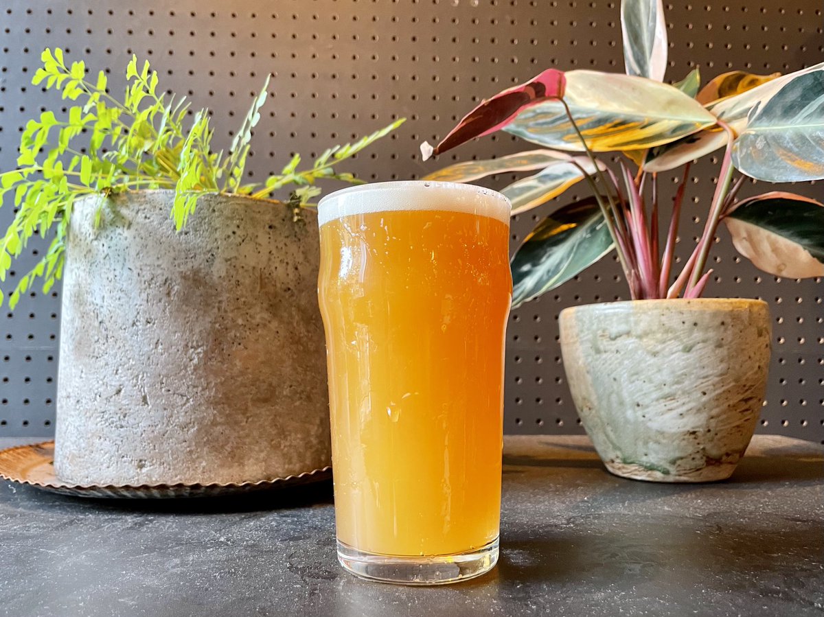 While life is opening back up as if nothing ever happened, please stop by and slow down for a pint or few of our all new Citra hopped, Hoi Polloi “Pump Your Brakes!” Hazy IPA