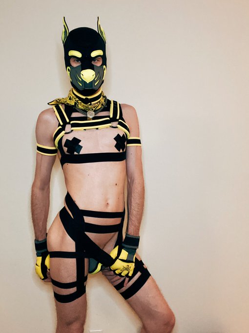 BE PRIDEFUL PUPPIES  @MrSLeather #humanpuppy https://t.co/Aw42mfN8dV<a class="tags" target="_blank" title="On Twitter" href="/?out=eyJ0eXAiOiJKV1QiLCJhbGciOiJIUzUxMiJ9.eyJpYXQiOjE3MjM2MzYzNjgsImlzcyI6InR3cG9ybnN0YXJzLmNvbSIsIm5iZiI6MTcyMzYzNjM2OCwiZXhwIjoxNzU1MTcyMzY4LCJyZWRpcmVjdF91cmwiOiJodHRwczovL3R3aXR0ZXIuY29tL01yU0xlYXRoZXIifQ.KzguxDJODHGCSPdGebjerSPFyUMSOScJP1h0Ci77TTyYEv6qa4sRVA632UJAhPx-IIGT_2hWl0-sPCwbJQjDWA">@MrSLeather</a><a href="/tag/humanpuppy"class="tags">#humanpuppy</a>