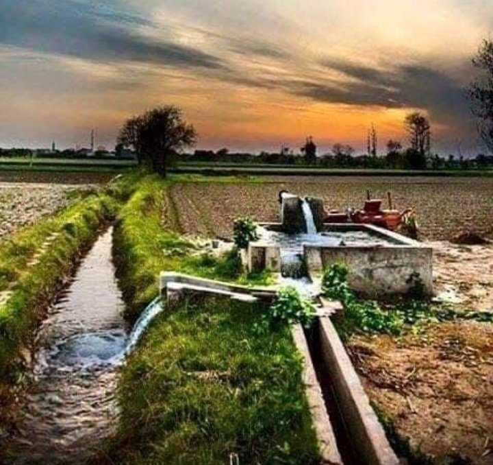 VedantCa's tweet photo. MSP should be fixed because both states economy depends on MSP....Haryana and Punjab farmers sell 80 percent Rice &amp; 77 percent wheat on MSP in APMC in comparison to other states.... #खेती_कानून_किसानों_की_लूट https://t.co/fM5CMi4RQo