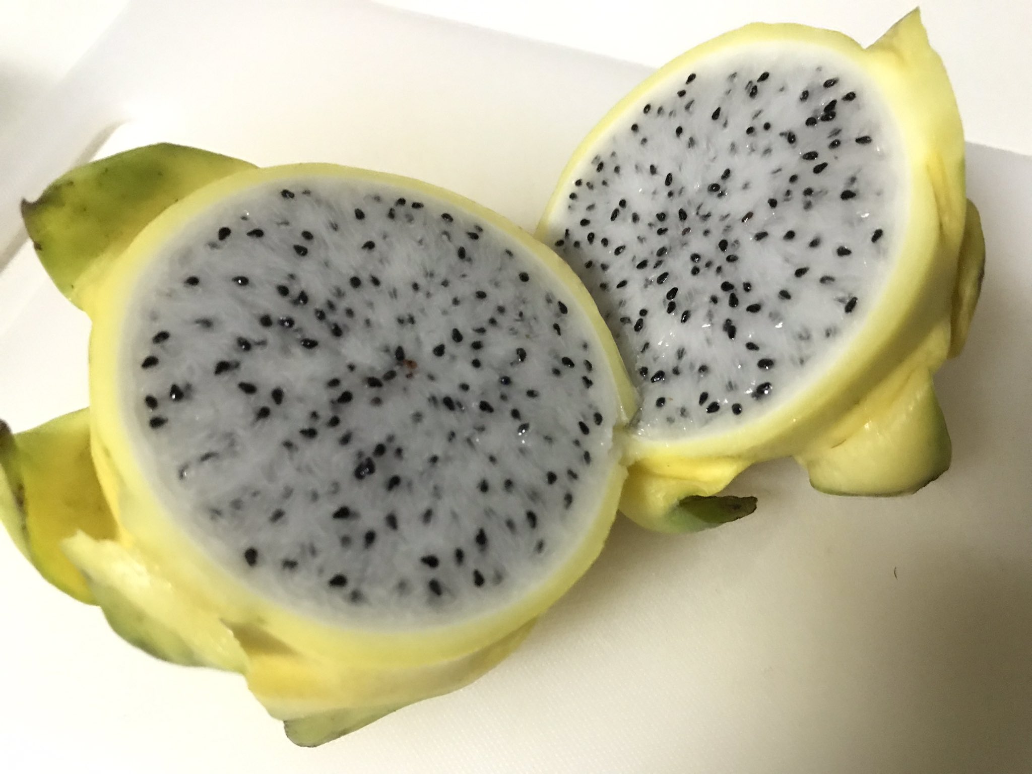 Noraneko しばらく休憩中 おはようございます 今日もアユタヤは快晴 気持ちのいい でも暑い天候 先日 デパートで 黄色のドラゴンフルーツを発見 珍しいと思って買ってみたけど 中身も味にも目立った特徴は無し 値段は倍以上するのに 何が違う