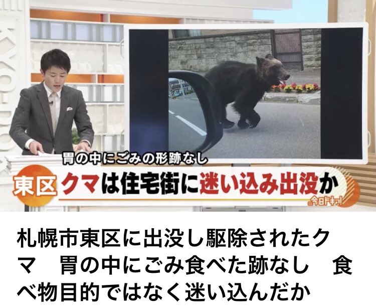 greeenmam's tweet photo. 迷い込んで怖くてパニックになってしまったんだね...可哀想に。駆除ってなんなの？殺さなきゃいけない？うーん、毎回思うけどほんとに熊達可哀想。確かに人間を襲うことは怖いことだけどね。つらい。 https://t.co/pWHPP7tker
