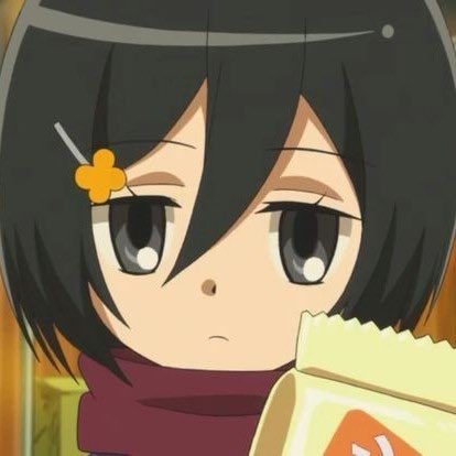 hourly mikasa tweet media
