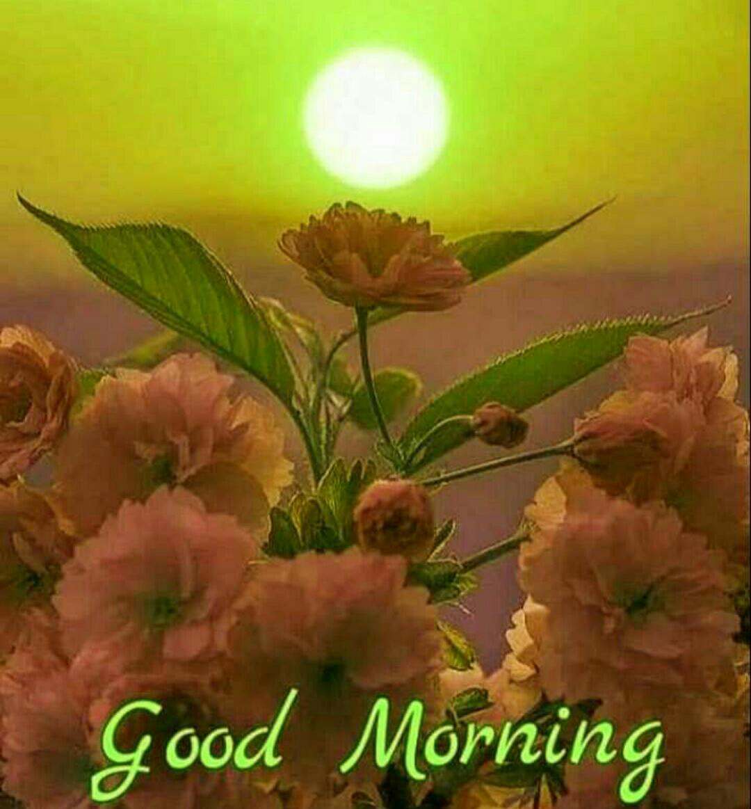 Meeeramehta3's tweet photo. किसी ने पुछा .. उम्र और जिंदगी में क्या फर्क है...?
     बहोत सुन्दर जवाब...
        " जो अपनों के बिना बिते वो उम्र.. और जो अपनों के साथ बिते वो जिंदगी "... https://t.co/1TOMvmfAuv