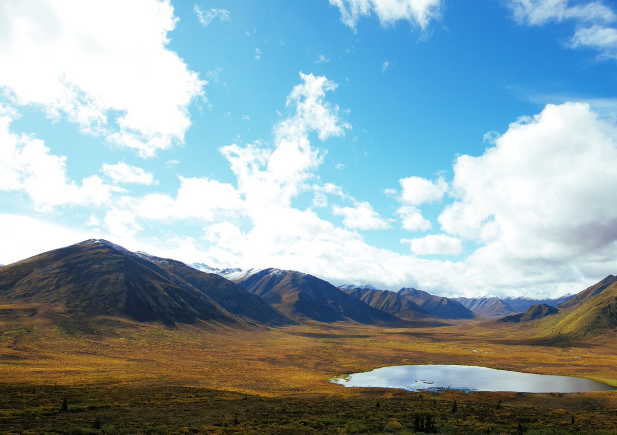 Always conscious of the beautiful places we work and what it means to be guests. #aboriginalday