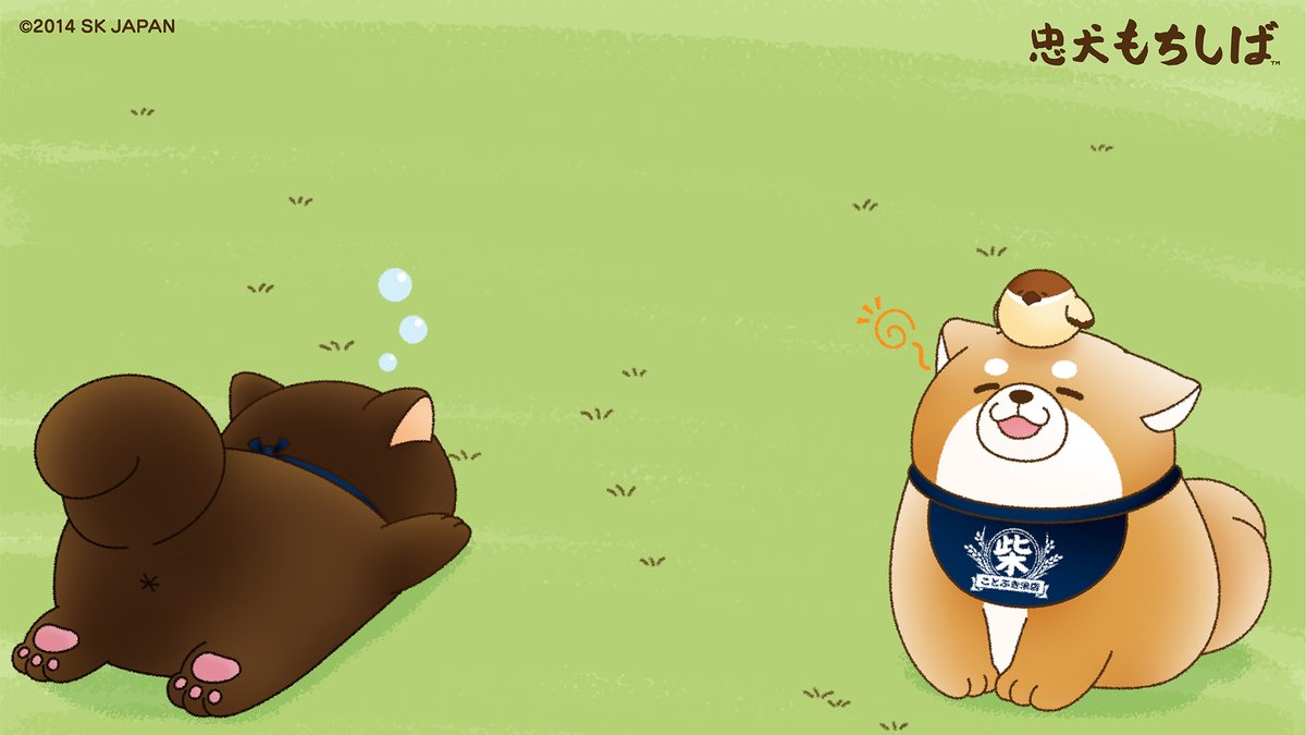 忠犬もちしば 公式 忠犬もちしば からビデオチャットにも使える オリジナル背景をプレセント もちしば たちと会議に参加しちゃおう もちしばスタッフ テレワーク 壁紙 ビデオ会議 Web会議 公式サイトからもダウンロードできるよ T Co