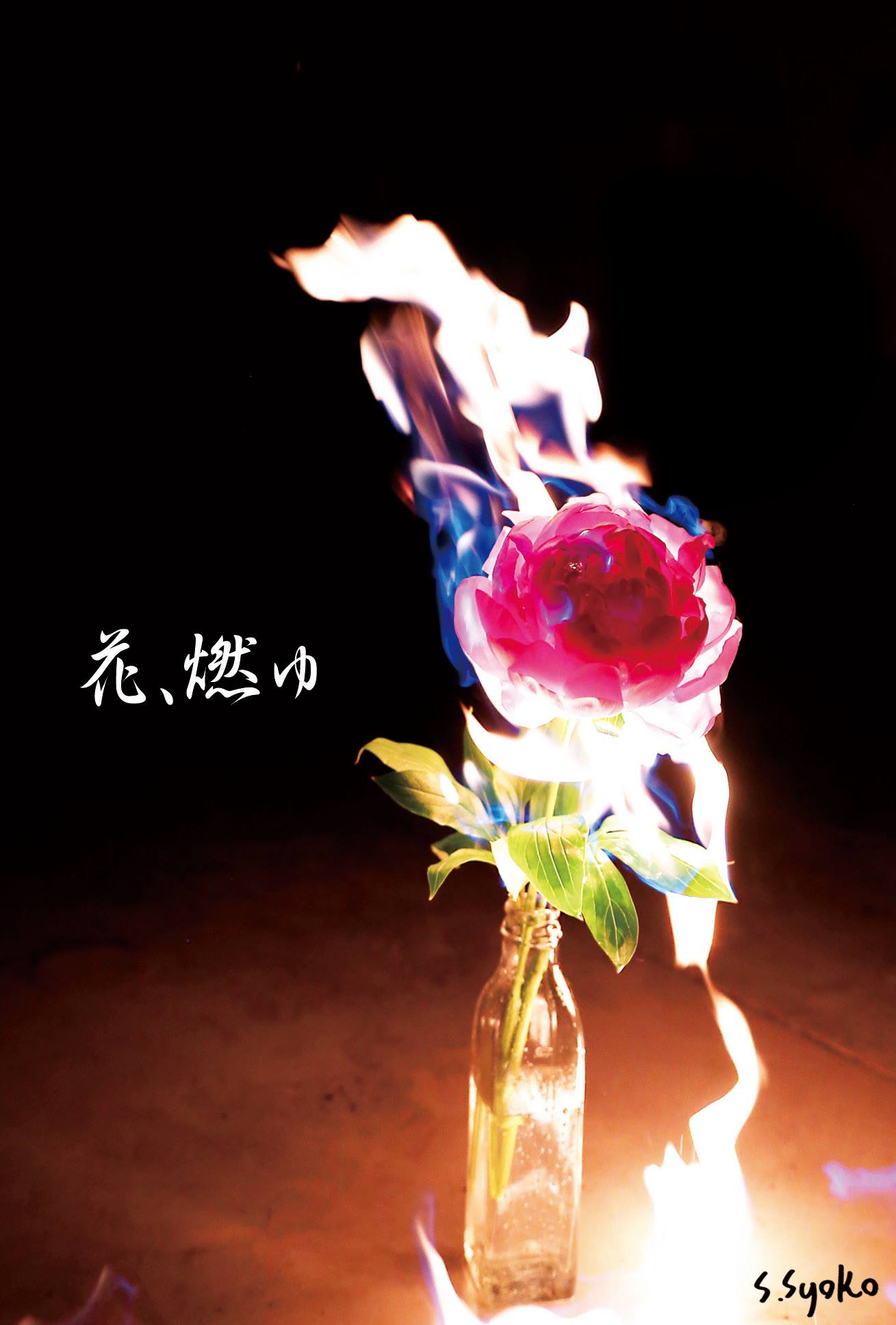 Nano Gallery S Syoko第2回個展 花 燃ゆ 命のゆらめき 閃光のまたたき 花が燃える 一瞬の命のゆらめきを感じてください S Syoko 07月12日 月 07月18日 日 14 00 19 00 Bluelemonade 花が燃える 命のゆらめき 閃光のまたたき Nano Gallery S Syoko第2回個展 花 燃ゆ 命のゆらめき 閃光のまたたき 花が燃える 一瞬の命のゆらめきを感じてください S Syoko 07月12日 月 07月18日 日 14 00 19 00 Bluelemonade 花が燃える 命のゆらめき 閃光のまたたき