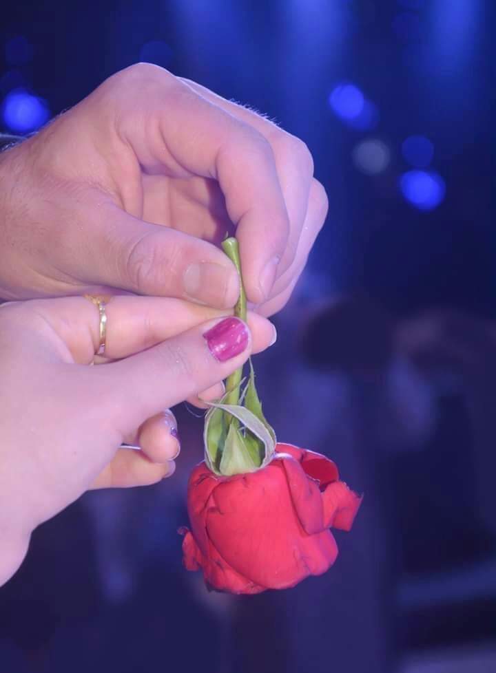 الرومانسية جميلة