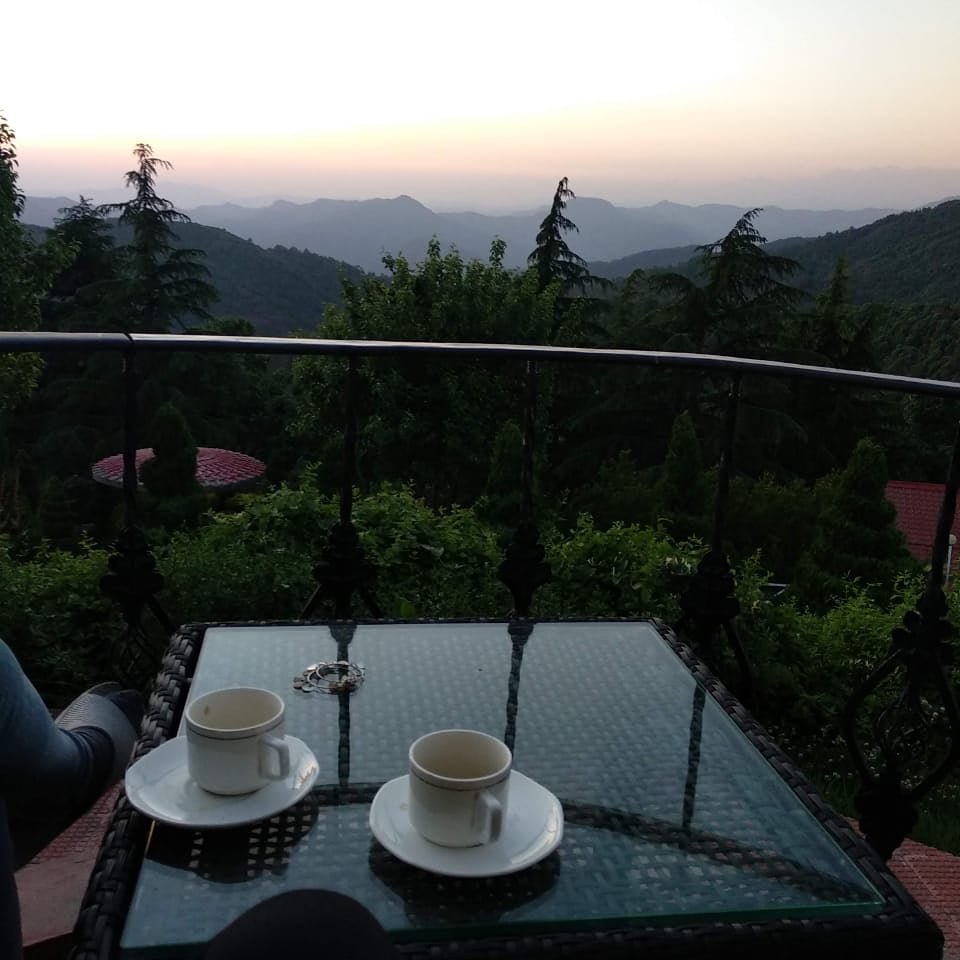 nupurgupta13's tweet image. If only I could wake up there instead of here this morning
#Chail
#TravelBlues #MissingMountains
#precovidtravel #precovidmemories