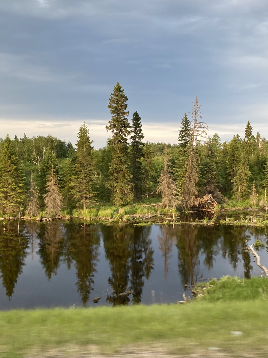 tracey_dunnigan's tweet image. My office view today. From a baby fawn nursing on mamma, to beautiful sunsets to our amazing water bombers, my days are never the same. #lovemife #sograteful #workedhardforthis #passion #putpose #perseverance #perspective #retirement #womenof911 #womeninpolicing