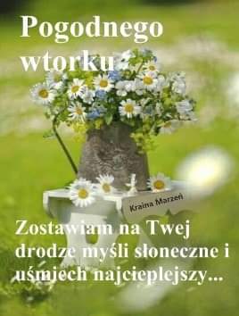 Obrazek dodany przez użytkowniczkę