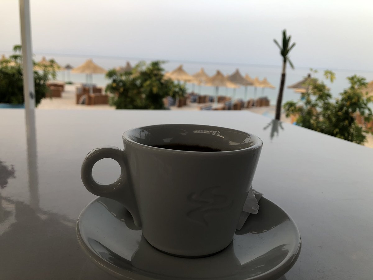 BainBz77's tweet photo. Morning time over here $algo fam https://t.co/8NeaQYUpsz