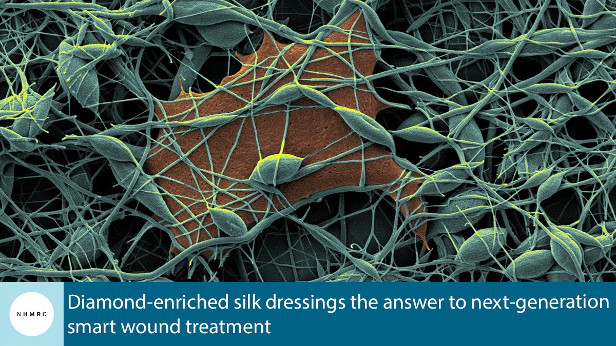 nhmrc's tweet photo. A diamond-enriched smart dressing made of silk could transform treatment of wounds, particularly burns. But how does it work? Read more about the project led by @brantgibson @ResearchRMIT #BurnsAwarenessMonth https://t.co/DS4Q3RvPnZ https://t.co/xwVeXQyP5J