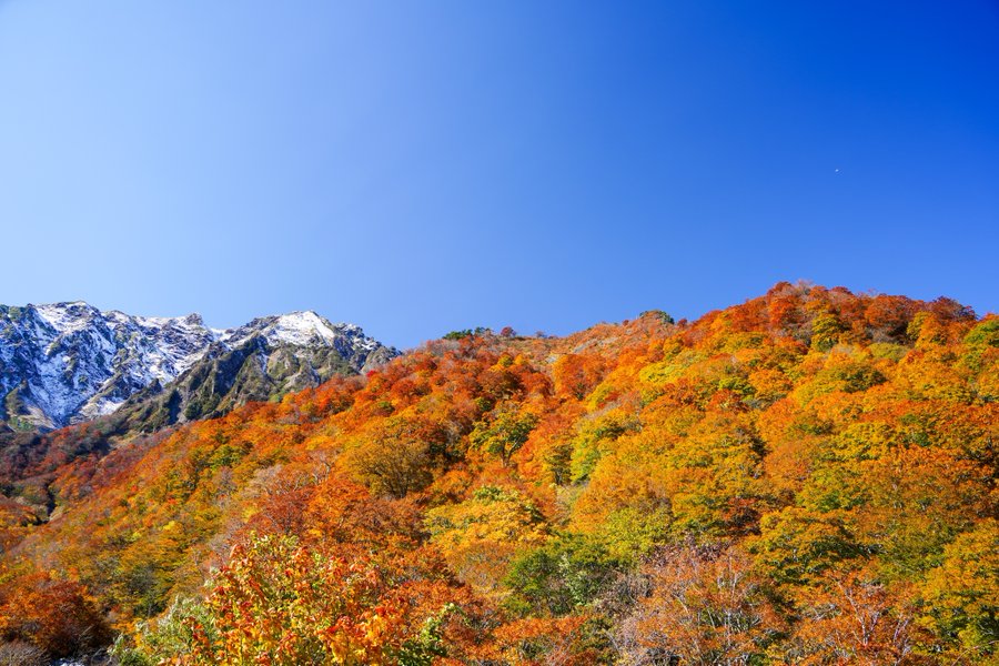 谷川岳の紅葉21 見頃時期やロープウェイ クチコミ情報など 情報発信ブログサイト Blue Rose