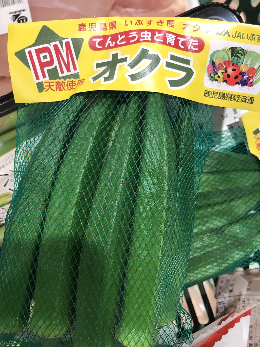 How76YxxyM8jf4G's tweet image. てんとう虫と育てるとどうなるんだ？
#jetcycle #この後開店 #お休みじゃないのよ