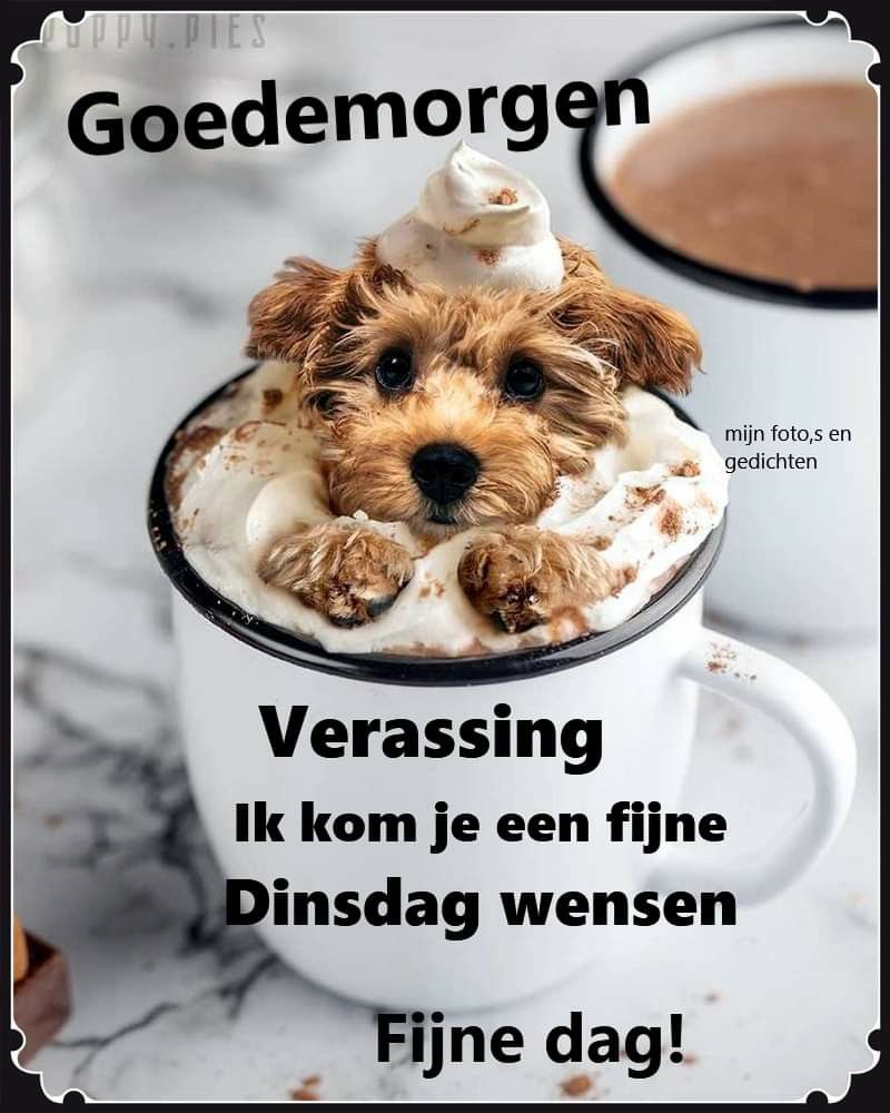 Goedemorgen allemaal vrienden en vriendinnen 😉😎👍🍵, image size:800x1000