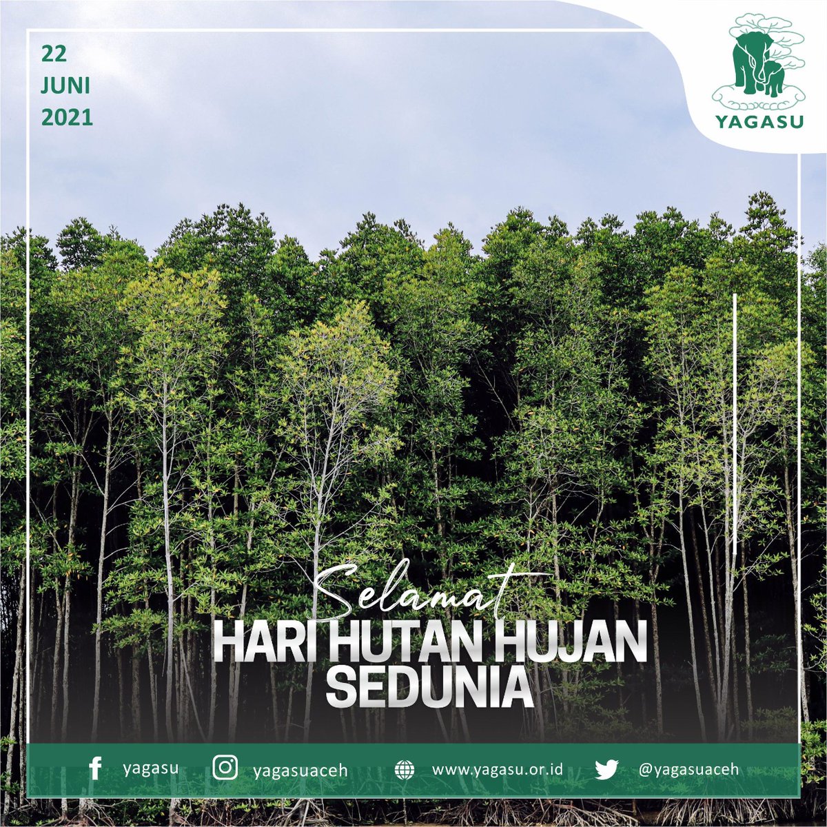 so let's protect and preserve our mangrove forests, mate