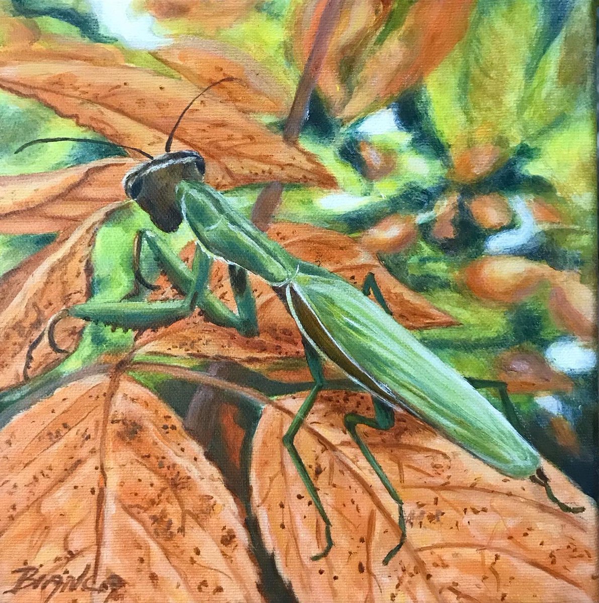 artbybiancaa's tweet photo. My praying mantis painting is finally done. Hard to believe he was in my yard last summer. With 6 legs, hard exoskeleton, grasping like claws and they are flexible.
I wouldn’t want to be their dinner.
#osoyoos #galleryart #okanagan #rockcreekbc #oliverbc #art #paintedbugs https://t.co/PWnPleW3x9