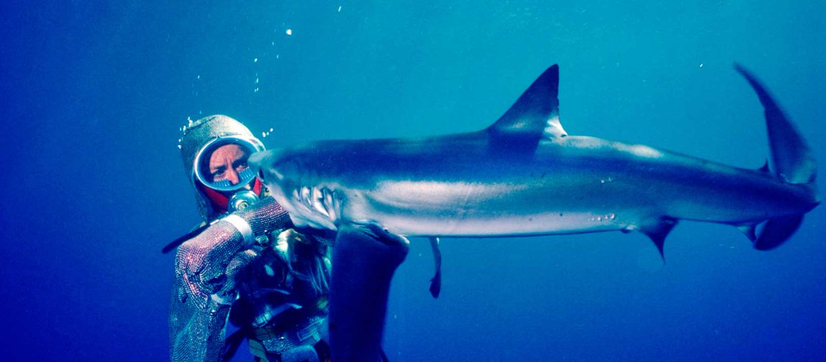 Doc Edge - Life Unscripted tweet media