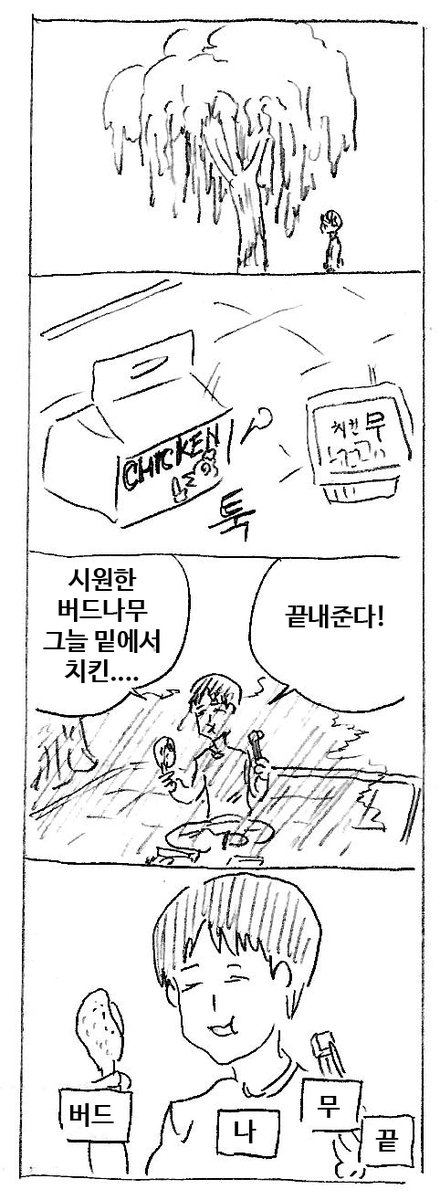 버드나무 