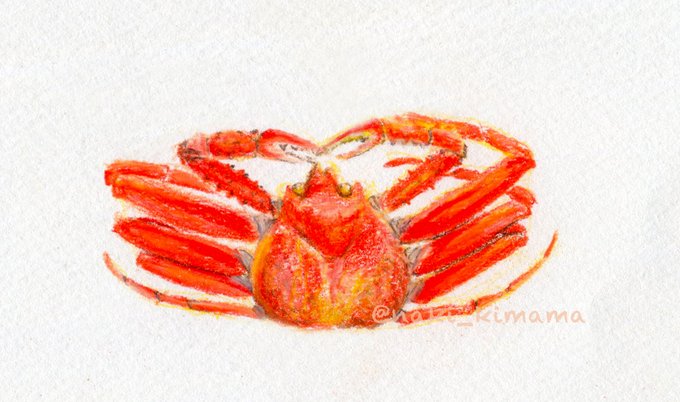 エビカニクスのtwitterイラスト検索結果 エビカニクスのtwitterイラスト検索結果