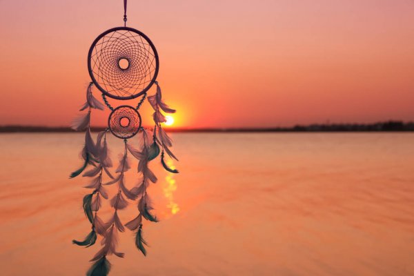 MissLoxXD's tweet image. I think I might have to do an extra Scholarship giveaway to lift all of our spirits! Lets get as many of you following as we can &amp;amp; I will select someone for a Dreamcatcher Scholarship TONIGHT! (within the next 10 hours! lets go!) 
Follow &amp;amp; comment below 👇🥰 @AxieInfinity