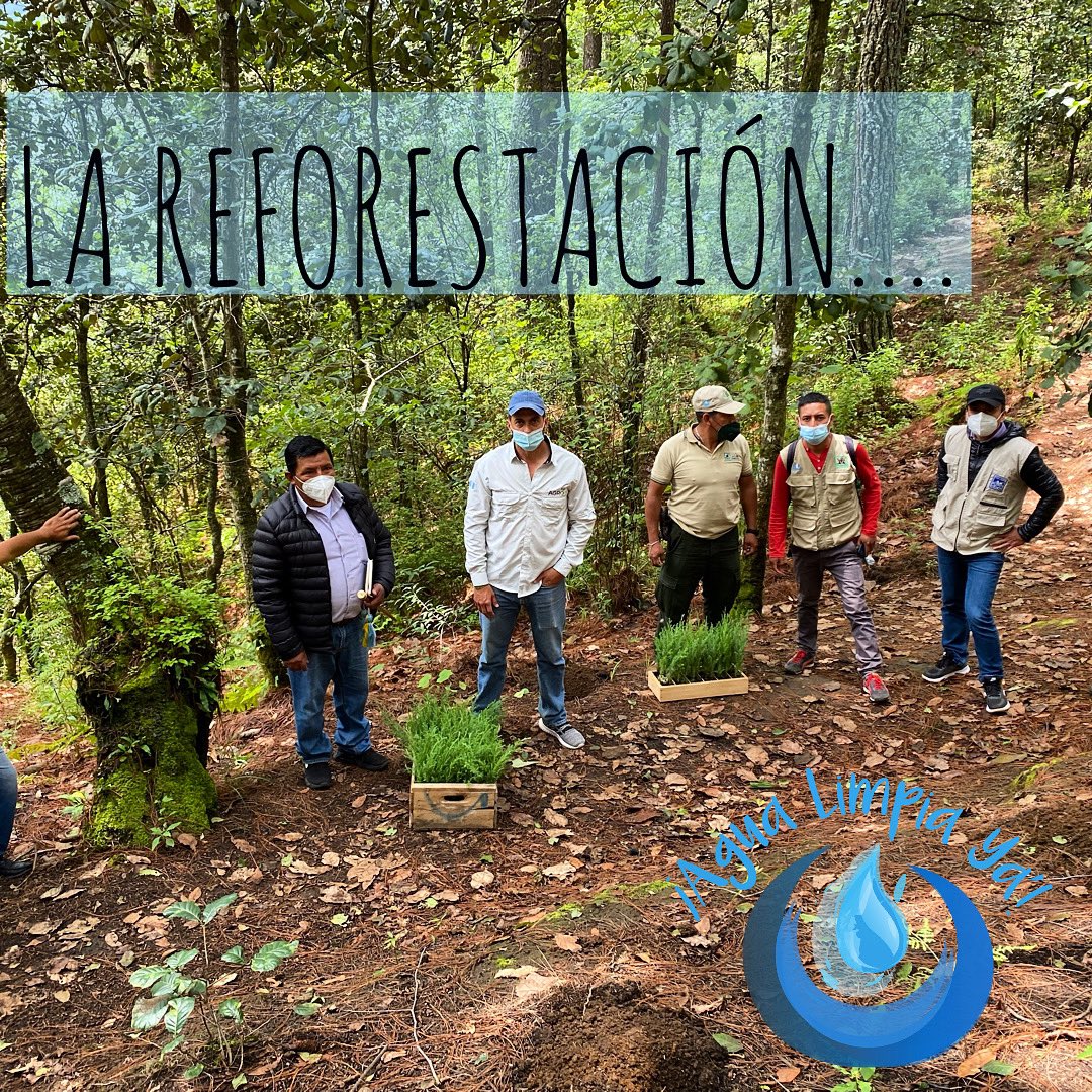 Agua Limpia Ya tweet media