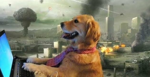 not_vikash's tweet photo. making memes on #cryptocrash while losing all my savings

#dogecoin https://t.co/wYJjSDTFEj