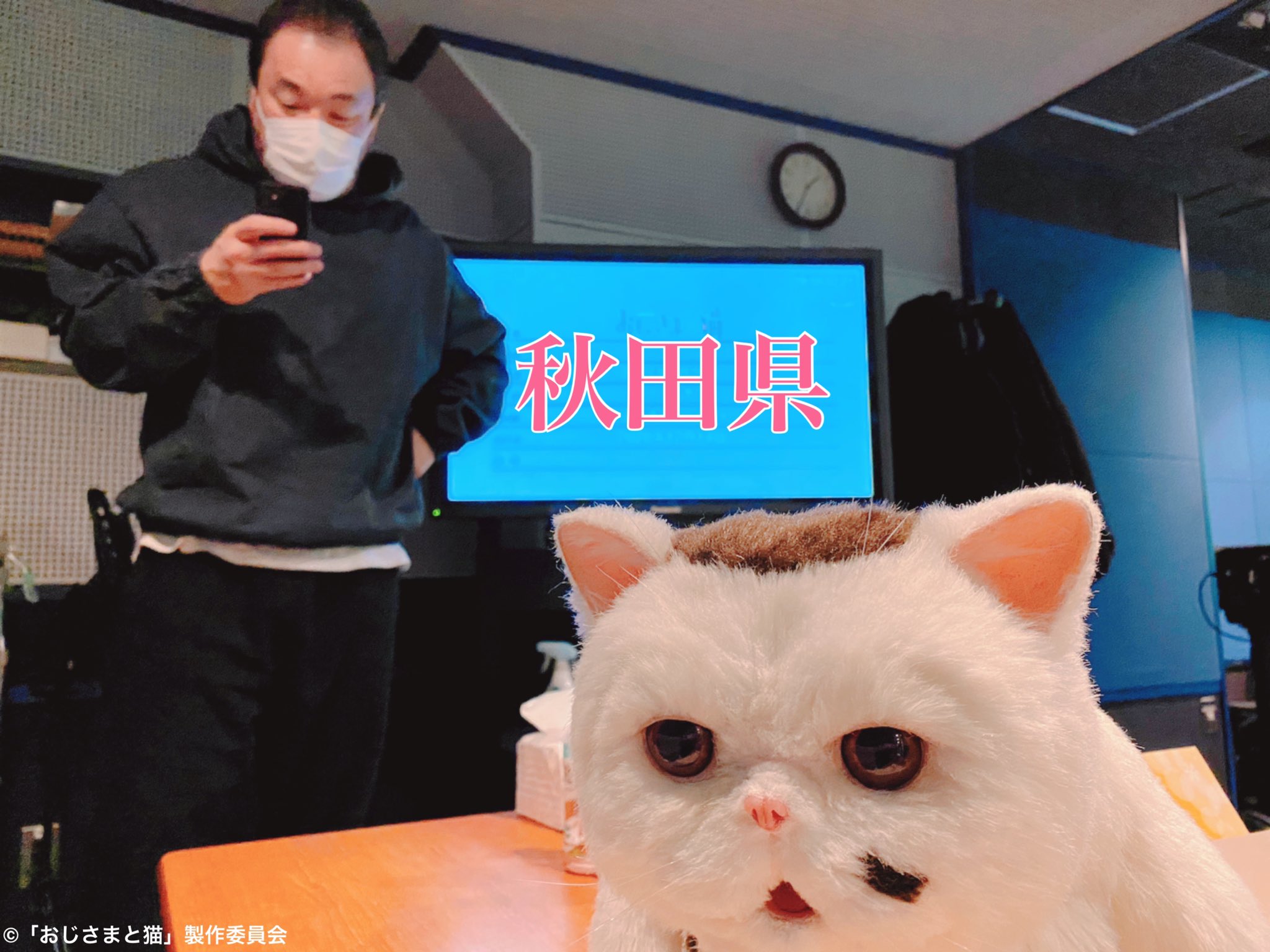 おじ猫 - Twitter Search / Twitter